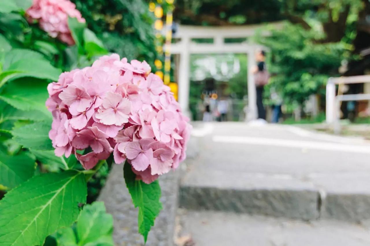 Villa Kamakura Buitenkant foto